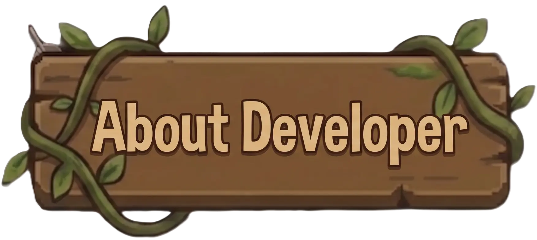 About Developer